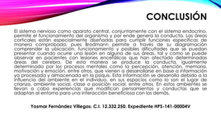 CONCLUSIÓN 
El sistema nervioso como aparato central, conjuntamente con el sistema endocrino, 
permite el funcionamiento del organismo y por ende genera la conducta. Las áreas 
corticales están especialmente diseñadas para cumplir funciones específicas de 
manera comprobada, pues Brodmann permite a través de su diagramación 
comprender la ubicación, funcionamiento y posibles dificultades que se puedan 
presentar cuando ocurre una lesión en alguna de sus áreas, tal y como se puede 
observar en pacientes con lesiones encefálicas que han afectado determinadas 
áreas del cerebro. De esta manera se produce la conducta, igualmente 
determinada por los procesos mentales como la percepción, atención, memoria, 
motivación y emoción, entre otros, que vienen a desarrollarse en base a información 
ya procesada y almacenada en la psiquis. Esta información se desarrolla debido a la 
influencia del ambiente en el individuo, en sus espacios como lo son el lugar de 
crianza, ambiente social, clase o posición social, entre otros. En estos ambientes se 
llevan a cabo experiencias que modifican pensamientos y conductas que se 
adaptan al entorno para una interacción beneficiosa con los demás. 
Yosmar Fernández Villegas. C.I. 12.332.250. Expediente HPS-141-00004V 

