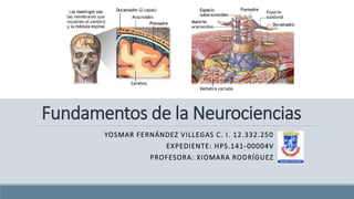 Fundamentos de la Neurociencias 
YOSMAR FERNÁNDEZ VILLEGAS C. I . 12.332.250 
EXPEDIENTE: HPS.141-00004V 
PROFESORA: XIOMARA RODRÍGUEZ 
 