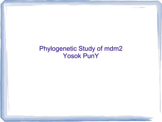 Phylogenetic Study of mdm2
Yosok PunY
 