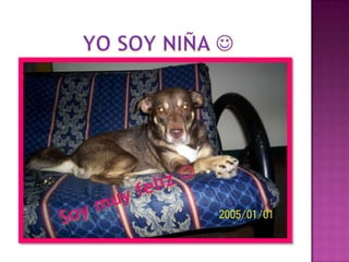 Yo soy niña  Soy muy feliz  