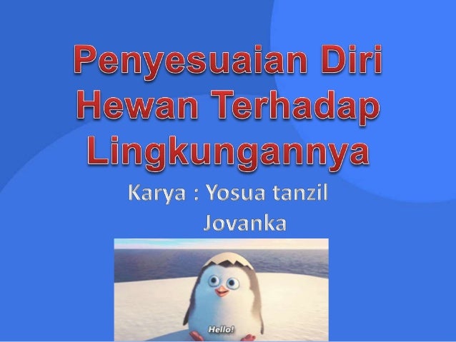 600 Contoh Gambar Hewan Pinguin HD Terbaik