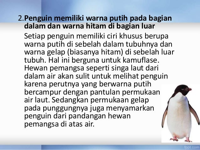 Penguin  dan adaptasinya