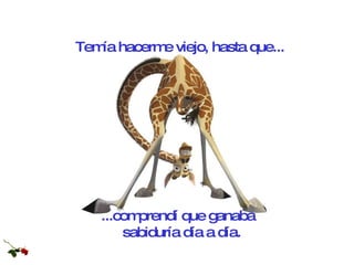 ...comprendí que ganaba  sabiduría día a día. Temía hacerme viejo, hasta que... 