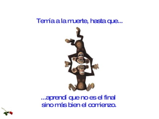 ...aprendí que no es el final  sino más bien el comienzo. Temía a la muerte, hasta que... 