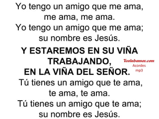 Yo tengo un amigo que me ama,
me ama, me ama.
Yo tengo un amigo que me ama;
su nombre es Jesús.
Y ESTAREMOS EN SU VIÑA
TRABAJANDO,
EN LA VIÑA DEL SEÑOR.
Tú tienes un amigo que te ama,
te ama, te ama.
Tú tienes un amigo que te ama;
su nombre es Jesús.
 