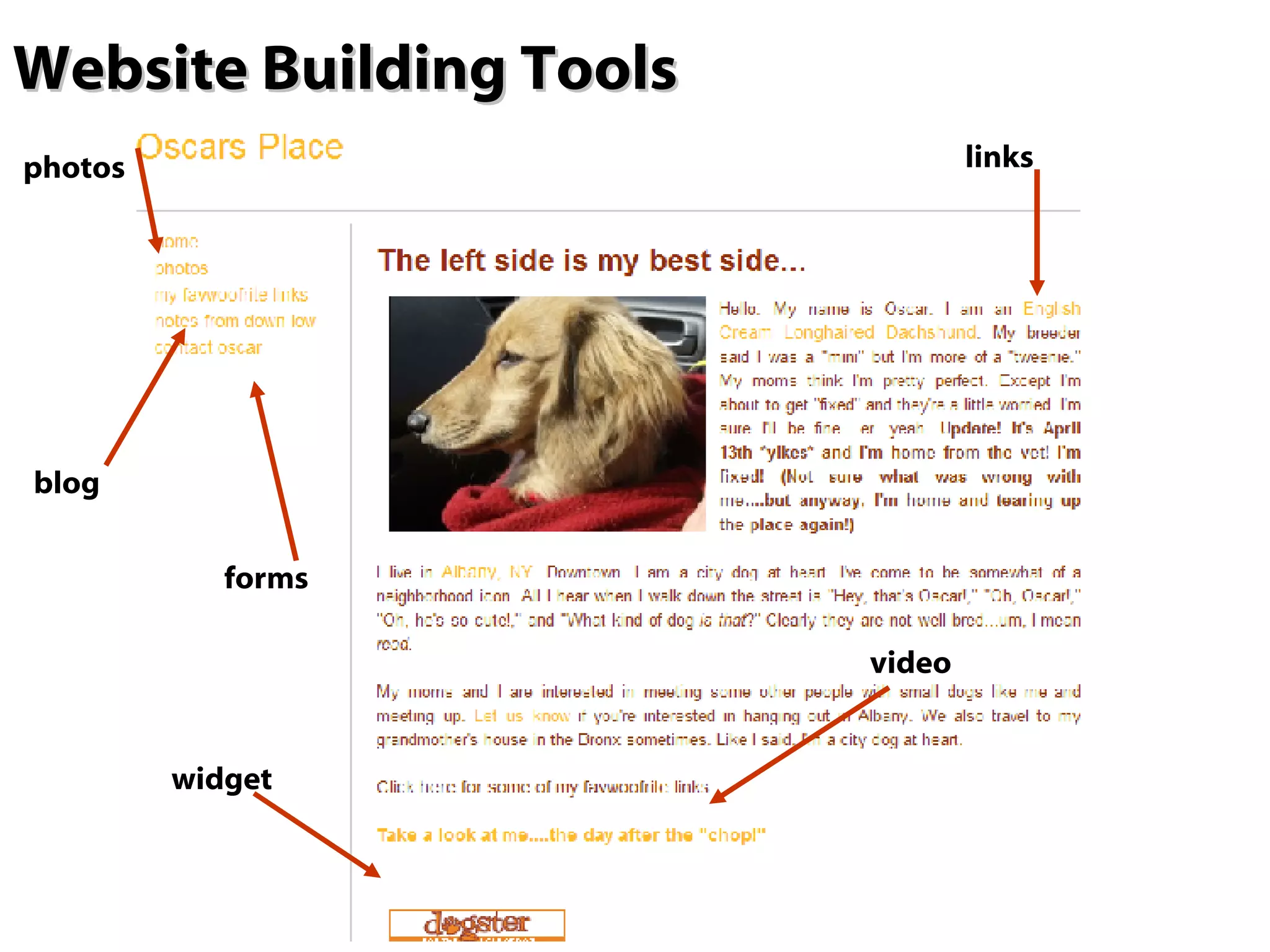 Website Building Tools  widget forms video links blog photos 