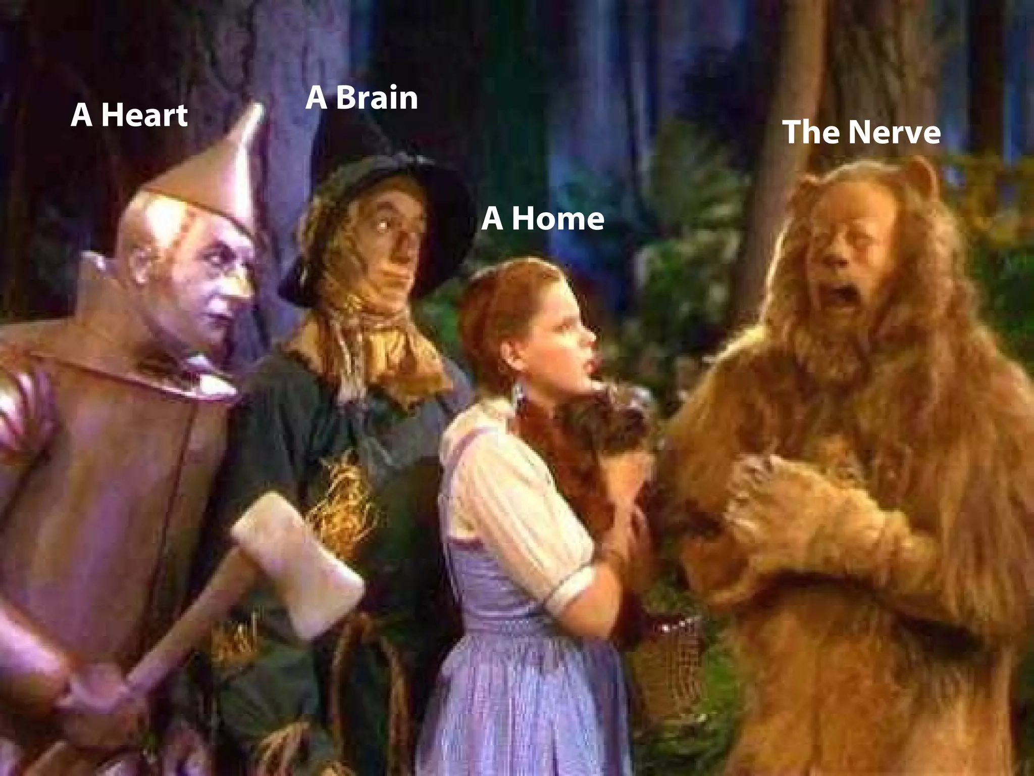 A Heart A Brain The Nerve A Home 