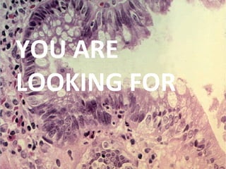 YOU ARE
LOOKING FOR
 