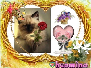 You  Are  My World(Nx Power Lite)