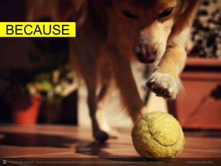 BECAUSE

Photo by beeryourself - Creative Commons Attribution-NonCommercial-ShareAlike License http://www.flickr.com/photos/24907534@N07

Created with Haiku Deck

 