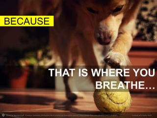 BECAUSE

THAT IS WHERE YOU
BREATHE…
Photo by beeryourself - Creative Commons Attribution-NonCommercial-ShareAlike License http://www.flickr.com/photos/24907534@N07

Created with Haiku Deck

 
