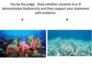 You be the judge. State whether situation A or B
demonstrates biodiversity and then support your statement
with evidence.
A B
 