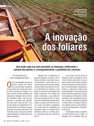 REVISTA CANAMIX | JUNHO | 201422
Capa
A inovação
dos foliares
Eles estão cada vez mais presentes na adubação, melhorando a
nutrição das plantas e, consequentemente, a qualidade dos canaviais
Os fertilizantes foliares
são aplicados nas folhas
e no tratamento de
toletes, fornecendo macro
e micronutrientes
Texto: Marcela Servano
Fotos: Divulgação/Yara Brasil
O
setor sucroenergético passou por
enormes avanços nós últimos
anos, que vão desde o plantio da
cana-de-açúcar até a entrega dos produ-
tos finais, passando por moagem e co-
lheita. Uma das recentes novidades está
relacionada à adubação. São os chama-
dos fertilizantes foliares, cada vez mais
presentes na produção dos canaviais.
Mas você sabe o que são eles? E por
que eles ajudam na produtividade? A es-
pecialista sênior em Produtos, Pesquisa
e Inovação da empresa Yara Brasil, Lívia
Tiraboschi, explica como esses produtos
estão modificando o cenário agrícola nas
regiões canavieiras.
Segundo Lívia, os fertilizantes fo-
liares são aplicados nas folhas e no tra-
tamento de toletes, fornecendo macro e
micronutrientes, e visam suprir os mo-
mentos de pico de absorção das plantas,
servindo também para prevenir ou corri-
gir as deficiências de nutrientes. A apli-
cação no momento em que a planta mais
precisa proporciona uma nutrição ade-
quada e balanceada, o que resulta em
uma maior produção de ATR. As defici-
ências de micronutrientes podem não ser
visíveis no campo, como no caso de zin-
co ou cobre, mas limitam a produtivida-
de e geram perda de rentabilidade aos
agricultores. Assim, o uso destes micro-
nutrientes via foliar ou via toletes garan-
te o suprimento antes que a deficiência
ocorra.
A Yara Brasil, que tem fábrica de
fertilizantes foliares na Inglaterra, possui
a linha YaraVita, utilizada não só para a
cana, mas para outras culturas agrícolas.
A linha é composta de produtos formula-
dos com alta tecnologia, maximizando a
eficiência, a segurança e o efeito residu-
al das aplicações. Foi desenvolvido para
fornecer nutrientes equilibrando o progra-
ma de adubação e melhorando a nutrição
das plantas, além da qualidade do cana-
vial. O produto é utilizado em tratamento
de toletes dentro do Programa Nutricio-
nal Longevita, que traz, como benefícios,
o aumento de longevidade e produtivida-
de da lavoura.
A especialista destaca a importân-
cia destes produtos para o cultivo. “A
adubação foliar é importante para pre-
 