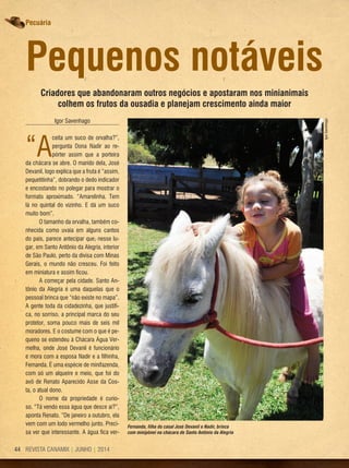 REVISTA CANAMIX | JUNHO | 201444
Pecuária
Criadores que abandonaram outros negócios e apostaram nos minianimais
colhem os frutos da ousadia e planejam crescimento ainda maior
Pequenos notáveis
Igor Savenhago
“A
ceita um suco de orvalha?”,
pergunta Dona Nadir ao re-
pórter assim que a porteira
da chácara se abre. O marido dela, José
Devanil, logo explica que a fruta é “assim,
pequetitinha”, dobrando o dedo indicador
e encostando no polegar para mostrar o
formato aproximado. “Amarelinha. Tem
lá no quintal do vizinho. E dá um suco
muito bom”.
O tamanho da orvalha, também co-
nhecida como uvaia em alguns cantos
do país, parece antecipar que, nesse lu-
gar, em Santo Antônio da Alegria, interior
de São Paulo, perto da divisa com Minas
Gerais, o mundo não cresceu. Foi feito
em miniatura e assim ficou.
A começar pela cidade. Santo An-
tônio da Alegria é uma daquelas que o
pessoal brinca que “não existe no mapa”.
A gente toda da cidadezinha, que justifi-
ca, no sorriso, a principal marca do seu
protetor, soma pouco mais de seis mil
moradores. E o costume com o que é pe-
queno se estendeu à Chácara Água Ver-
melha, onde José Devanil é funcionário
e mora com a esposa Nadir e a filhinha,
Fernanda. É uma espécie de minifazenda,
com só um alqueire e meio, que foi do
avô de Renato Aparecido Asse da Cos-
ta, o atual dono.
O nome da propriedade é curio-
so. “Tá vendo essa água que desce aí?”,
aponta Renato. “De janeiro a outubro, ela
vem com um lodo vermelho junto. Preci-
sa ver que interessante. A água fica ver-
Fernanda, filha do casal José Devanil e Nadir, brinca
com minipônei na chácara de Santo Antônio da Alegria
IgorSavenhago
 
