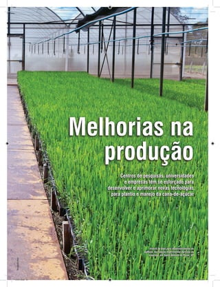 REVISTA CANAMIX | JULHO | 201420
Melhorias na
produção
Centros de pesquisas, universidades
e empresas têm se esforçado para
desenvolver e aprimorar novas tecnologias
para plantio e manejo da cana-de-açúcar
Viveiro da Basf para desenvolvimento do
AgMusa, na Estação Experimental Agrícola da
empresa, em Santo Antônio de Posse, SP
Divulgação/Basf
CM73.indd 20 26/09/2014 12:44:14
 