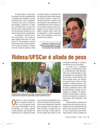 25REVISTA CANAMIX | JULHO | 2014
Na terceira etapa, as mudas brota-
das seguem das casas de vegetação para
o transplantio sob orientação e acompa-
nhamento da Basf, com um equipamen-
to específico que confere um plantio de
alta qualidade e pegamento. Na última
fase, considerando que o manejo é feito
de forma correta, o produtor passa a con-
tar com mudas para formação de um ca-
navial de alto potencial de produtividade.
O empresário e produtor rural Is-
mael Perina utiliza o novo sistema de
plantio AgMusa desde 2013, em Jabo-
ticabal, SP. Ele acompanha o processo
de desenvolvimento do sistema desde o
início e elogia sua evolução. “Consegui-
mos trazer mudas de qualidade, isentas
de pragas, doenças e de algumas plan-
tas daninhas que vinham sendo propaga-
das quando se utilizava o sistema con-
vencional. Além disso, na Meiosi se tem
uma redução de custo espetacular. Com
a produtividade que ela tem mostrado, se
usa muito pouco material pra fazer a pro-
pagação, e de uma maneira muito mais
rápida. O benefício maior é poder fazer
um planejamento e executar exatamente
igual o que foi planejado, o que não era
possível no outro sistema”.
Ridesa/UFSCar é aliada de peso
O
sistema de mudas pré-brotadas
para a formação de viveiros sa-
dios é uma das grandes novida-
des do setor sucroenergético e tem sido
acompanhada com grande expectati-
va pelos produtores, que enxergam essa
tecnologia como um importante caminho
para o aumento da produtividade dos ca-
naviais. A formação de mudas de introdu-
ções de novas variedades pelo sistema de
gema pré-brotada não ocorre apenas no
Brasil. No México, os Grupos Piasa, En-
genhos Tres Valles e Adolfo López Ma-
teos têm estufas para receber as novas
introduções de variedades e, a partir daí,
comercializar aos seus fornecedores.
De acordo com o coordenador
do Programa de Melhoramento Genéti-
co da Ridesa/UFSCar (Rede Interuniver-
sitária para o Desenvolvimento do Setor
Sucroenergético da Universidade Federal
de São Carlos), Hermann Hoffman, essa
nova tecnologia atende uma importan-
te demanda do setor: plantio de melhor
qualidade. Em diferentes aspectos, como
quantidade de muda gasta, disseminação
de doença, sanidade dos viveiros e vigor
de desenvolvimento da planta, essa me-
todologia traz vantagens. “Ela garante a
produção de mudas sadias e, consequen-
temente, a formação de um canavial com
menos falhas, maior longevidade e mais
produtivo”.
Segundo Hoffman, é nessa área de
plantio em que mais o setor tem de se de-
senvolver. Por isso, a Ridesa/UFSCar está
aberta a firmar contratos de licenciamen-
to com as empresas que visam oferecer
mudas sadias às usinas e produtores de
Ismael Perina: “Na Meiosi se tem uma
redução de custo espetacular. Usa-se muito
pouco material pra fazer a propagação,
e de uma maneira muito mais rápida”
Divulgação
Divulgação
Segundo Hoffman, a Ridesa/UFSCar está aberta a contratos de licenciamento com
as empresas que visam oferecer mudas sadias às usinas e produtores de cana
CM73.indd 25 26/09/2014 12:44:27
 