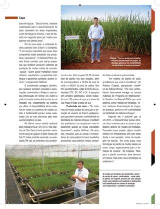 REVISTA CANAMIX | JULHO | 201426
cana-de-açúcar. “Dessa forma, estamos
colaborando para o desenvolvimento do
setor canavieiro em áreas importantes,
como formação de viveiros, o que foi dei-
xado em segundo plano por muitos pro-
dutores nos últimos anos”.
Por ter essa visão, a instituição fe-
chou parceria com a Basf e a Syngenta.
“É um serviço importante que essas duas
companhias estão prestando aos produ-
tores canavieiros”. A Ridesa/UFSCar de-
verá firmar contrato com outras empre-
sas que também possuem sistemas de
produção de mudas sadias de cana-de-
-açúcar. “Quem quiser multiplicar nosso
material, respeitando a propriedade inte-
lectual e garantindo sanidade, poderá fa-
zê-lo”, complementa Hoffman.
O coordenador assegura, também,
que qualquer produtor vinculado a asso-
ciações conveniadas à Ridesa e que es-
teja interessado em formar um viveiro a
partir de mudas sadias terá acesso às va-
riedades RB, independente do sistema
que utilize. A disponibilidade desse mate-
rial em todos os sistemas de mudas sa-
dias é fundamental porque essas varie-
dades são as mais plantadas pelo setor
sucroenergético no país.
No último censo varietal realizado
pela Ridesa/UFSCar, em 2013, nos esta-
dos de São Paulo (maior produtor nacio-
nal de cana-de-açúcar) e Mato Grosso do
Sul (5º maior produtor nacional), as varie-
dades RB são as preferidas dos produto-
Capa
res de cana. Elas ocupam 65,3% da área
total de plantio nos dois estados, além
de corresponderem a 59,6% da área de
corte e a 60,6% da área de cultivo. Nos
três levantamentos, estão à frente das va-
riedades CTC, SP, IAC e CV. A pesquisa
tem amostra significativa, sendo realiza-
da com 120 usinas de açúcar e etanol de
São Paulo e Mato Grosso do Sul.
Produzindo em casa – “Os siste-
mas de mudas sadias de cana para a for-
mação de viveiros só trazem vantagens,
pois garantem sanidade, confiabilidade na
identidade do material entregue e facilitam
aos produtores a se atualizarem mais ra-
pidamente quanto as novas variedades
disponíveis”, explica Hoffman. Ele acre-
dita, inclusive, que as usinas e fornece-
dores de cana podem ter bons resultados
produzindo suas próprias mudas, adotan-
do todas as técnicas preconizadas.
“Em matéria de plantio de cana,
acreditamos que essa é a tendência”, diz
Roberto Chapola, pesquisador científi-
co da Ridesa/UFSCar. “Por isso, preten-
demos futuramente entregar os nossos
materiais do Programa de Melhoramen-
to Genético da Ridesa/UFSCar por esse
sistema, como mudas pré-brotadas. As-
sim, evitamos disseminação de pragas,
de doenças, ganha-se em confiabilidade
na identidade do material entregue”.
Segundo ele, é possível que, já
em 2015, a Ridesa/UFSCar possa ofere-
cer seus materiais para as usinas e pro-
dutores através de mudas pré-brotadas.
Pensando nesse projeto, alguns investi-
mentos em infraestrutura têm sido feitos
desde o ano passado, como na monta-
gem de estufas. “Em curto prazo, essa
tecnologia de plantio de mudas sadias vai
tomar corpo, especialmente para a for-
mação de viveiros”, diz Chapola. “Mas,
para o plantio comercial, deve demorar
um pouco mais para essa tecnologia se
estabelecer”.
Divulgação
Divulgação
As mudas pré-brotadas são produzidas a partir
de cortes de canas - minirrebolos -, onde estão
as gemas. Em seguida, passam por uma seleção
visual, são tratadas com fungicida e distribuídas
com identificação em caixas de brotação
com temperatura e umidade controladas
Chapola: “Com as mudas pré-brotadas,
evitamos disseminação de pragas, de
doenças, ganha-se em confiabilidade
na identidade do material entregue”
CM73.indd 26 26/09/2014 12:44:30
 