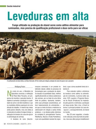 REVISTA CANAMIX | AGOSTO | 201452
Gestão Industrial
Leveduras em alta
Wolfgang Pistori
N
o início do ano, o Ministério de
Agricultura anunciou a instituição
do Plano Mais Pecuária, um pro-
grama de incentivo à pecuária bovina. O
objetivo é aumentar a produção e a quali-
dade da carne e do leite brasileiros e que
os resultados efetivos apareçam em uma
década de trabalho. A maioria das metas
ainda parece distante, mas uma delas já
é colocada em prática há algum tempo: a
utilização de levedura de cana-de-açúcar
na alimentação de animais.
A levedura de cana (Saccha-
Fungo utilizado na produção de etanol serve como aditivo alimentar para
ruminantes, mas precisa de qualificação profissional e dose certa para ser eficaz
romyces cerevisiae) é um produto to-
talmente natural, obtido no processo de
fermentação para a produção de etanol.
Se dosada na quantidade exata, melhora
significativamente os índices zootécnicos
dos animais, por se tratar de uma ótima
fonte de proteína. Apresenta, também,
entre suas principais características, um
bom balanceamento de aminoácidos –
em que os níveis de lisina e metionina se
sobressaem em relação a outras fontes
proteicas – e se destaca pelas vitaminas
de complexo B, principalmente Tiamina,
Riboflavina, Niacina e Ácido Pantotênico,
e por uma quantidade razoável de ergos-
terol, o que a torna excelente fonte de vi-
tamina D.
Para entender melhor a eficiência
da levedura como aditivo na alimenta-
ção de ruminantes, é preciso voltar aos
anos 1970, quando o Programa Nacio-
nal do Álcool (Proálcool) foi implanta-
do pelo governo e estimulou a produção
em larga escala. Não à toa, o Brasil se
tornou o principal produtor de cana-de-
-açúcar e, consequentemente, de etanol
no mundo.
Nos 20 anos seguintes, a levedu-
ra foi colocada como boa fonte de proteí-
nas, mas seus altos preços inviabilizaram
O confinamento da Usina Estiva, em Novo Horizonte, SP, foi criado para integrar produção da cana-de-açúcar com a pecuária
Divulgação/UsinaEstiva
 