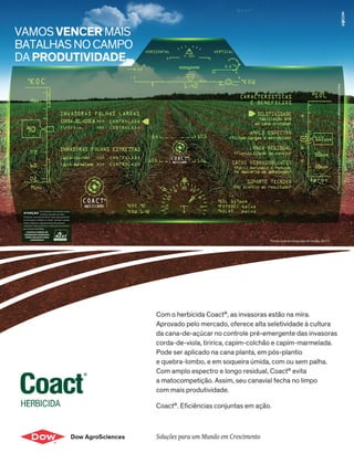 7REVISTA CANAMIX | AGOSTO | 2014
 