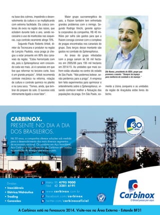 77REVISTA CANAMIX | AGOSTO | 2014
na base dos colmos, impedindo o desen-
volvimento da cultura e se multiplicando
com extrema facilidade. Ela coloca cen-
tenas de ovos na região das raízes, que
eclodem durante todo o ano, sendo ne-
cessário o uso de inseticidas nas soquei-
ras, cujo controle raramente atinge 70%.
Segundo Paulo Roberto Artioli, di-
retor da Tecnocana e produtor na região
de Lençóis Paulista, essa praga já che-
gou a estar presente em 80% dos cana-
viais da região. “Estou horrorizado com
ela, pois o Sphenophorus vem crescen-
do cada vez mais. Já vi canaviais em que
tive que reformar no terceiro corte. Isso
é um grande prejuízo”. Artioli recomenda
controle mecânico na reforma, rotação
de cultura e controle químico no plantio
e na cana soca. “Temos, ainda, que lem-
brar do preparo do solo. O sucesso está
intimamente ligado a esse fator”.
Maior grupo sucroenergético do
país, a Raízen também tem enfrentado
grandes problemas com o inimigo. Se-
gundo Rodrigo Vinchi, gerente agríco-
la corporativo da companhia, R$ 40 mi-
lhões por safra são gastos para que a
Raízen consiga conviver com o complexo
de pragas encontradas nos canaviais do
grupo. Dois terços desse montante são
gastos no combate do Sphenophorus.
As áreas do grupo infestadas
com a praga saíram de 56 mil hecta-
res em 2005/06 para 195 mil hectares
em 2014/15. As unidades que mais so-
frem estão situadas no centro do estado
de São Paulo. “Não podemos bobear, se-
não perdemos para a praga”. A empresa
tem feito experimentos para aprimorar o
entendimento sobre o Sphenophorus, vi-
sando conhecer melhor a flutuação das
populações da praga. Em São Paulo, so-
Dib Nunes, presidente do IDEA, grupo que
promove o evento: “Sempre há espaço
para melhoria do combate e do manejo.”
mente a Usina Junqueira e as unidades
da região de Araçatuba estão livres do
bicho.
 