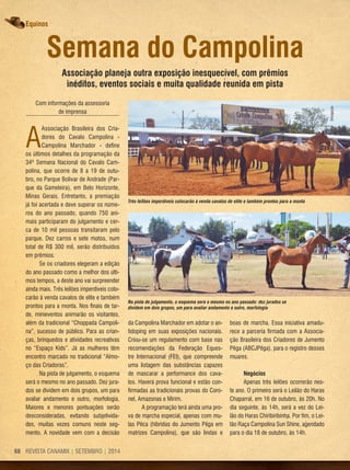 REVISTA CANAMIX | SETEMBRO | 201468
equinos
Semana do Campolina
Associação planeja outra exposição inesquecível, com prêmios
inéditos, eventos sociais e muita qualidade reunida em pista
Com informações da assessoria
de imprensa
A
Associação Brasileira dos Cria-
dores do Cavalo Campolina -
Campolina Marchador - define
os últimos detalhes da programação da
34ª Semana Nacional do Cavalo Cam-
polina, que ocorre de 8 a 19 de outu-
bro, no Parque Bolivar de Andrade (Par-
que da Gameleira), em Belo Horizonte,
Minas Gerais. Entretanto, a premiação
já foi acertada e deve superar os núme-
ros do ano passado, quando 750 ani-
mais participaram do julgamento e cer-
ca de 10 mil pessoas transitaram pelo
parque. Dez carros e sete motos, num
total de R$ 300 mil, serão distribuídos
em prêmios.
Se os criadores elegeram a edição
do ano passado como a melhor dos últi-
mos tempos, a deste ano vai surpreender
ainda mais. Três leilões imperdíveis colo-
carão à venda cavalos de elite e também
prontos para a monta. Nos finais de tar-
de, minieventos animarão os visitantes,
além da tradicional “Choppada Campoli-
na”, sucesso de público. Para as crian-
ças, brinquedos e atividades recreativas
no “Espaço Kids”. Já as mulheres têm
encontro marcado no tradicional “Almo-
ço das Criadoras”.
Na pista de julgamento, o esquema
será o mesmo no ano passado. Dez jura-
dos se dividem em dois grupos, um para
avaliar andamento e outro, morfologia.
Maiores e menores pontuações serão
desconsideradas, evitando subjetivida-
des, muitas vezes comuns neste seg-
mento. A novidade vem com a decisão
da Campolina Marchador em adotar o an-
tidoping em suas exposições nacionais.
Criou-se um regulamento com base nas
recomendações da Federação Eques-
tre Internacional (FEI), que compreende
uma listagem das substâncias capazes
de mascarar a performance dos cava-
los. Haverá prova funcional e estão con-
firmadas as tradicionais provas do Coro-
nel, Amazonas e Mirim.
A programação terá ainda uma pro-
va de marcha especial, apenas com mu-
las Pêca (híbridas do Jumento Pêga em
matrizes Campolina), que são lindas e
boas de marcha. Essa iniciativa amadu-
rece a parceria firmada com a Associa-
ção Brasileira dos Criadores de Jumento
Pêga (ABCJPêga), para o registro desses
muares.
Negócios
Apenas três leilões ocorrerão nes-
te ano. O primeiro será o Leilão do Haras
Chaparral, em 16 de outubro, às 20h. No
dia seguinte, às 14h, será a vez do Lei-
lão do Haras Chiribiribinha. Por fim, o Lei-
lão Raça Campolina Sun Shine, agendado
para o dia 18 de outubro, às 14h.
Divulgação
Três leilões imperdíveis colocarão à venda cavalos de elite e também prontos para a monta
Na pista de julgamento, o esquema será o mesmo no ano passado: dez jurados se
dividem em dois grupos, um para avaliar andamento e outro, morfologia
 