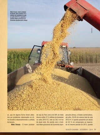 71REVISTA CANAMIX | SETEMBRO | 2014
so, que de alguma forma foram afeta-
dos por problemas relacionados ao cli-
ma durante o desenvolvimento e colheita
da lavoura.
Mato Grosso - O maior produtor
de soja do País (cerca de 30% do total)
deverá colher 27,3 milhões de toneladas
na safra 2014/15, ante as 26,5 mi ton
do atual ciclo. De acordo com o Insti-
tuto Mato-grossense de Economia Agro-
pecuária (Imea), o Estado comercializou,
até julho, 93,9% do volume total de soja
2013/14. A quantia apresenta um atraso
de 0,5 % em comparação ao negocia-
do no mesmo período de 2013, quando
Mato Grosso, maior produtor
do Brasil, deve produzir 27,3
milhões de toneladas de soja
na safra 2014/15, segundo o
Instituto Mato-grossense de
Economia Agropecuária (Imea)
Shutterstock
 