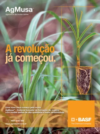 REVISTA CANAMIX | SETEMBRO | 201480
 