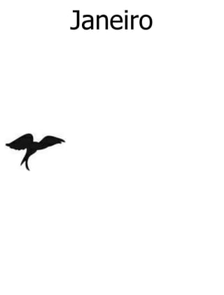 Janeiro
 