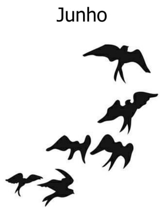 Junho
 