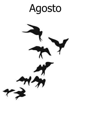 Agosto
 
