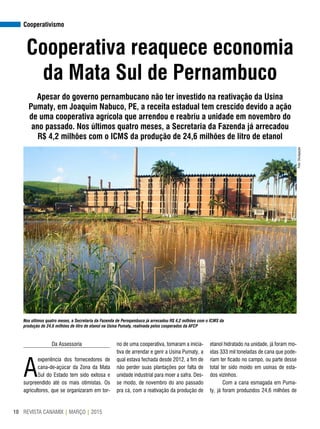 REVISTA CANAMIX | MARÇO | 201510
Cooperativismo
Cooperativa reaquece economia
da Mata Sul de Pernambuco
Apesar do governo pernambucano não ter investido na reativação da Usina
Pumaty, em Joaquim Nabuco, PE, a receita estadual tem crescido devido a ação
de uma cooperativa agrícola que arrendou e reabriu a unidade em novembro do
ano passado. Nos últimos quatro meses, a Secretaria da Fazenda já arrecadou
R$ 4,2 milhões com o ICMS da produção de 24,6 milhões de litro de etanol
Da Assessoria
A
experiência dos fornecedores de
cana-de-açúcar da Zona da Mata
Sul do Estado tem sido exitosa e
surpreendido até os mais otimistas. Os
agricultores, que se organizaram em tor-
no de uma cooperativa, tomaram a inicia-
tiva de arrendar e gerir a Usina Pumaty, a
qual estava fechada desde 2012, a fim de
não perder suas plantações por falta de
unidade industrial para moer a safra. Des-
se modo, de novembro do ano passado
pra cá, com a reativação da produção de
etanol hidratado na unidade, já foram mo-
ídas 333 mil toneladas de cana que pode-
riam ter ficado no campo, ou parte desse
total ter sido moído em usinas de esta-
dos vizinhos.
Com a cana esmagada em Puma-
ty, já foram produzidos 24,6 milhões de
Nos últimos quatro meses, a Secretaria da Fazenda de Pernqambuco já arrecadou R$ 4,2 milhões com o ICMS da
produção de 24,6 milhões de litro de etanol na Usina Pumaty, reativada pelos cooperados da AFCP
Foto:Divulgação
 