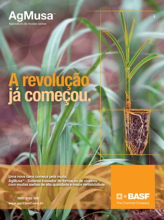 REVISTA CANAMIX | MARÇO | 20152
 