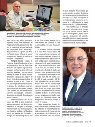 41REVISTA CANAMIX | ABRIL | 2015
plana e a Socicana terão o papel de dar
suporte e difundir essas tecnologias do
Programa Cana IAC, principalmente atra-
vés da capacitação de recursos huma-
nos e assistência técnica diferenciada”,
diz o presidente da Coplana, José Anto-
nio Rossato Junior. A forma de acessar
esse Programa deve ser por meio de as-
sociações e cooperativas.
Tempo é dinheiro - A equipe do
Programa Cana IAC avaliou que o tem-
po para o produtor adotar as novas varie-
dades tem sido superior ao prazo neces-
sário para se chegar ao desenvolvimento
uma nova variedade. “Isso nos alertou
para agir no sentido de quebrar essa dis-
tância entre a pesquisa e a adoção”, diz
Xavier. A relevância da transferência de
tecnologia é praxe no IAC. “Dentro do
IAC, a orientação é empenho não apenas
na geração das tecnologias, mas tam-
bém no esforço de levá-las aos usuários.
Caso contrário não faria sentido desen-
volvermos respostas para a agricultura”,
diz o diretor-geral do IAC, Sérgio Augusto
Morais Carbonell.
O líder do Programa Cana IAC as-
segura que MPB já está devidamente
adotado pelas usinas, que tão logo com-
preenderam as vantagens da tecnologia,
inseriram-na em seus núcleos de produ-
ção. No interior paulista, o MPB está nas
usinas São Martinho, em Pradópolis, e
Abengoa, em Pirassununga e São João
Marcos Landell: “Elaboramos cada passo com base no conhecimento que temos
do universo do setor sucroenergético e, sobretudo, cientes das realidades
existentes nas grandes estruturas e nas pequenas propriedades”
Para Arnaldo Jardim, o projeto deverá
ter impactos diretos na qualidade dos
canaviais cultivados por pequenos
fornecedores de cana e mudar os rumos
da adoção de pacotes tecnológicos
gerados pela ciência agrícola paulista
da Boa Vista. Em solos goianos, está na
Jales Machado, em Goianésia, na Goia-
sa, em Goaituba, e na usina Denusa, em
Jandáia.
A tecnologia também já foi adota-
da na usina Miriri, em João Pessoa, PB,
e nas usinas da Bunge, que possui uni-
dades no Norte paulista e Tocantins. Os
pesquisadores afirmam que as usinas re-
únem condições para adaptação de suas
estruturas a fim de adotar novas tecnolo-
gias. Já os pequenos produtores preci-
sam de apoio. Por isso a ideia de ofere-
cer o Kit de Pré-Brotação de Mudas, que
funcionará como facilitador do processo.
Cada produtor irá receber um lote
de mudas com 1,6 mil plantas, sen-
do 400 de cada variedade: IAC 91-
1099, IACSP95-5000, IACSP95-5094 e
IACSP97-4039. Em uma primeira etapa,
o produtor conduzirá o material, em vi-
veiro, durante seis meses, sob a orienta-
ção do IAC. Na segunda fase do trabalho,
o produtor receberá o kit de ferramentas,
com um cortador de minirrebolos, equi-
pamento para tratar quimicamente o ma-
terial genético, além de um protótipo da
câmara de brotação.
Nesta segunda fase, também terá
início a replicação das variedades recebi-
das. O trabalho de treinamento será con-
cluído em dois anos. O Projeto será usa-
do para validar o Kit de Pré-Brotação de
Mudas diretamente junto aos usuários,
em suas realidades. Xavier ressalta que
um dos grandes benefícios do sistema
MPB está na redução da quantidade de
mudas que vai a campo. Para o plantio de
um hectare de cana, o consumo de mu-
das cai de 18 a 20 toneladas no plantio
convencional, para 2 toneladas no MPB.
“Isso significa que 18 toneladas
que seriam enterradas como ‘mudas’
irão para a indústria produzir etanol e
açúcar, gerando ganhos”, explica Xavier.
Segundo o pesquisador, toda a estrutu-
ra do MPB está alicerçada em variedades
modernas porque não há benefícios em
multiplicar mudas de materiais antigos.
Divulgação
Arquivo
 