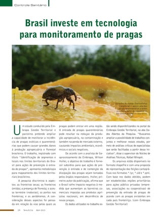 14 Terra & Cia Abril 2015
Controle Sanitário
Brasil investe em tecnologia
para monitoramento de pragas
U
m estudo conduzido pela Em-
brapa Gestão Territorial e
parceiros pretende ampliar
a capacidade de monitorar a incidên-
cia de pragas exóticas e quarentená-
rias que podem causar grandes danos
à produção agropecuária e florestal
brasileira. O trabalho, registrado com
título “Identificação de segmentos e
locais nos limites territoriais do Bra-
sil para ações de prevenção à entra-
da de pragas”, apresenta metodologia
para mapeamento dos limites territo-
riais brasileiros.
A pesquisa discrimina 6 aspec-
tos: as fronteiras secas; as fronteiras
úmidas; a presença de floresta; o aces-
so terrestre (rodovias); os portos nas
fronteiras; e os aeródromos. A con-
sideração desses aspectos foi pensa-
da em relação às vias pelas quais as
pragas podem entrar em uma região.
A entrada de pragas quarentenárias
pode resultar na reduçao da produ-
ção agropecuária, na contaminação e
também na perda de mercado externo,
causando impactos ambientais, econô-
micos e sociais negativos.
De acordo com o analista de Ge-
oprocessamento da Embrapa, Wilson
Holler, o objetivo do trabalho é forne-
cer subsídios para que ações de pre-
venção à entrada e de contenção da
dissipação das pragas sejam tomadas
pelos órgãos responsáveis. Holler, pri-
meiro autor da publicação, afirma que
o Brasil sofre impacto negativo à me-
dida que aumentam as barreiras co-
merciais impostas aos produtos agrí-
colas nacionais, em decorrência de
novas pragas.
Os dados utilizados no trabalho es-
tão sendo disponibilizandos no portal da
Embrapa Gestão Territorial, na aba Da-
dos Abertos da Pesquisa. “Buscamos
ampliar a possibilidade de trabalhos con-
juntos e melhorar nossos estudos, por
meio de análises críticas de especialistas
que serão facilitadas a partir dessa ini-
ciativa”, disse o supervisor do Núcleo de
Análises Técnicas, Rafael Mingoti.
Os arquivos estão disponíveis no
formato shapefile e com uma proposta
de representação das feições cartográ-
ficas nos formatos *.lyr, *.sld e *.qml.
Com base nos dados obtidos, podem
ser estabelecidas regiões prioritárias
para ações público privadas (empre-
sas, associações ou cooperativas) de
prevenção da entrada de pragas de
acordo com as pragas existentes em
cada país fronteiriço. (com Embrapa
Gestão Territorial)
Gorgulho da manga (Sternochetus
mangiferae) é apenas uma das
pragas quarentenárias a serem
evitadas a partir do mapeamento
dos limites territoriais brasileiros
Divulgação
 
