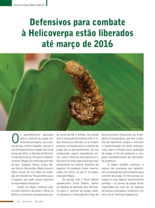 16 Terra & Cia Abril 2015
Controle Sanitário
Defensivos para combate
à Helicoverpa estão liberados
até março de 2016
A Helicoverpa armigera é uma espécie
polífaga. As larvas da praga foram
registradas em mais de 60 espécies
de plantas cultivadas e silvestres e em
cerca de 67 famílias hospedeiras
O
s agrodefensivos aplicados
para o controle da praga He-
licoverpa armigera, nas cultu-
ras de soja, milho e algodão, tiveram o
uso emergencial prorrogado até 18 de
março de 2016. A decisão do Ministé-
rio da Agricultura, Pecuária e Abaste-
cimento (Mapa) foi motivada pelo fato
de que Alagoas, Bahia, Goiás, Mi-
nas Gerais, Maranhão, Mato Grosso e
Mato Grosso do Sul estão na condi-
ção de emergência fitossanitária para
a lagarta, que pode causar prejuízos
ao agronegócio brasileiro.
Dados do Mapa mostram que,
na safra 2012/13 de grãos e fibras na
Bahia, os prejuízos causados pela pra-
ga foram de R$ 2 bilhões. De acordo
com a Instrução Normativa (IN) nº 3,
que oficializa a decisão, os principais
produtos utilizados para o controle da
praga são os que apresentam, em sua
composição, alguns ingredientes ati-
vos, como o Bacillus thuringiensis e o
Baculovírus (este responsável por agir
diretamente no sistema digestivo da
lagarta). Os produtos foram mencio-
nados, em 2013, no ato nº 15 elabo-
rado pelo Mapa.
De acordo com o fiscal federal
agropecuário Ériko Tadashi, dentre
as medidas já adotadas pelo Ministé-
rio para o controle da praga, pode-
-se destacar a instituição do Grupo de
Gerenciamento Situacional da Emer-
gência Fitossanitária, que tem o obje-
tivo de identificar, propor e articular
a implementação de ações emergen-
ciais, ágeis e eficazes para contenção
da praga, a fim de assegurar o com-
pleto restabelecimento da normalida-
de produtiva.
O Mapa também priorizou a
análise dos processos que possibili-
tam o emprego de novos produtos para
controle da praga. A Helicoverpa ar-
migera é uma espécie extremamente
polífaga – as larvas da praga foram
registradas em mais de 60 espécies
de plantas cultivadas e silvestres e em
cerca de 67 famílias hospedeiras.
Embrapa
 
