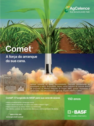 Terra & Cia Abril 2015 17
 