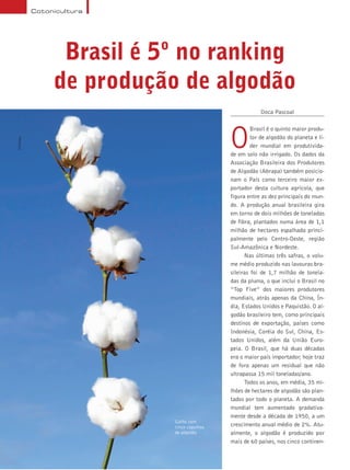 30 Terra & Cia Abril 2015
Cotonicultura
Brasil é 5º no ranking
de produção de algodão
Galho com
cinco capulhos
de algodão
Doca Pascoal
O
Brasil é o quinto maior produ-
tor de algodão do planeta e lí-
der mundial em produtivida-
de em solo não irrigado. Os dados da
Associação Brasileira dos Produtores
de Algodão (Abrapa) também posicio-
nam o País como terceiro maior ex-
portador desta cultura agrícola, que
figura entre as dez principais do mun-
do. A produção anual brasileira gira
em torno de dois milhões de toneladas
de fibra, plantados numa área de 1,1
milhão de hectares espalhada princi-
palmente pelo Centro-Oeste, região
Sul-Amazônica e Nordeste.
Nas últimas três safras, o volu-
me médio produzido nas lavouras bra-
sileiras foi de 1,7 milhão de tonela-
das da pluma, o que inclui o Brasil no
“Top Five” dos maiores produtores
mundiais, atrás apenas da China, Ín-
dia, Estados Unidos e Paquistão. O al-
godão brasileiro tem, como principais
destinos de exportação, países como
Indonésia, Coréia do Sul, China, Es-
tados Unidos, além da União Euro-
peia. O Brasil, que há duas décadas
era o maior país importador, hoje traz
de fora apenas um residual que não
ultrapassa 15 mil toneladas/ano.
Todos os anos, em média, 35 mi-
lhões de hectares de algodão são plan-
tados por todo o planeta. A demanda
mundial tem aumentado gradativa-
mente desde a década de 1950, a um
crescimento anual médio de 2%. Atu-
almente, o algodão é produzido por
mais de 60 países, nos cinco continen-
Embrapa
 