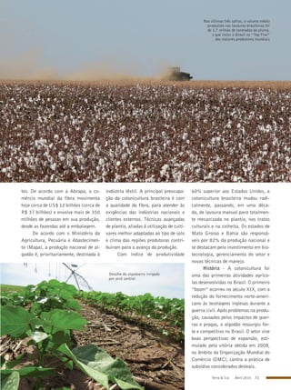 Terra & Cia Abril 2015 31
Detalhe do algodoeiro irrigado
por pivô central
Nas últimas três safras, o volume médio
produzido nas lavouras brasileiras foi
de 1,7 milhão de toneladas da pluma,
o que inclui o Brasil no “Top Five”
dos maiores produtores mundiais
tes. De acordo com a Abrapa, o co-
mércio mundial da fibra movimenta
hoje cerca de US$ 12 bilhões (cerca de
R$ 37 bilhões) e envolve mais de 350
milhões de pessoas em sua produção,
desde as fazendas até a embalagem.
De acordo com o Ministério da
Agricultura, Pecuária e Abastecimen-
to (Mapa), a produção nacional de al-
godão é, prioritariamente, destinada à
indústria têxtil. A principal preocupa-
ção da cotonicultura brasileira é com
a qualidade da fibra, para atender às
exigências das indústrias nacionais e
clientes externos. Técnicas avançadas
de plantio, aliadas à utilização de culti-
vares melhor adaptadas ao tipo de solo
e clima das regiões produtoras contri-
buíram para o avanço da produção.
Com índice de produtividade
60% superior aos Estados Unidos, a
cotonicultura brasileira mudou radi-
calmente, passando, em uma déca-
da, de lavoura manual para totalmen-
te mecanizada no plantio, nos tratos
culturais e na colheita. Os estados de
Mato Grosso e Bahia são responsá-
veis por 82% da produção nacional e
se destacam pelo investimento em bio-
tecnologia, gerenciamento do setor e
novas técnicas de manejo.
História - A cotonicultura foi
uma das primeiras atividades agríco-
las desenvolvidas no Brasil. O primeiro
“boom” ocorreu no século XIX, com a
redução do fornecimento norte-ameri-
cano às tecelagens inglesas durante a
guerra civil. Após problemas na produ-
ção, causados pelos impactos de guer-
ras e pragas, o algodão ressurgiu for-
te e competitivo no Brasil. O setor vive
boas perspectivas de expansão, esti-
mulado pela vitória obtida em 2008,
no âmbito da Organização Mundial do
Comércio (OMC), contra a prática de
subsídios considerados desleais.
 