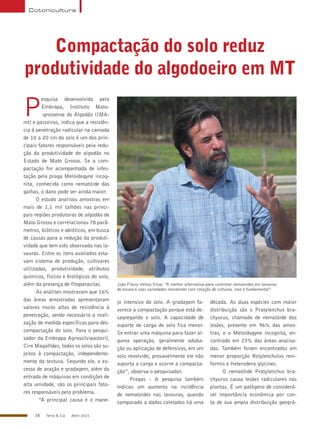 38 Terra & Cia Abril 2015
Cotonicultura
Compactação do solo reduz
produtividade do algodoeiro em MT
P
esquisa desenvolvida pela
Embrapa, Instituto Mato-
-grossense do Algodão (IMA-
mt) e parceiros, indica que a resistên-
cia à penetração radicular na camada
de 10 a 20 cm do solo é um dos prin-
cipais fatores responsáveis pela redu-
ção da produtividade do algodão no
Estado de Mato Grosso. Se a com-
pactação for acompanhada de infes-
tação pela praga Meloidogyne incog-
nita, conhecida como nematóide das
galhas, o dano pode ser ainda maior.
O estudo analisou amostras em
mais de 1,1 mil talhões nas princi-
pais regiões produtoras de algodão de
Mato Grosso e correlacionou 78 parâ-
metros, bióticos e abióticos, em busca
de causas para a redução da produti-
vidade que tem sido observada nas la-
vouras. Entre os itens avaliados esta-
vam sistema de produção, cultivares
utilizadas, produtividade, atributos
químicos, físicos e biológicos do solo,
além da presença de fitoparasitas.
As análises mostraram que 16%
das áreas amostradas apresentaram
valores muito altos de resistência à
penetração, sendo necessária a reali-
zação de medida específicas para des-
compactação do solo. Para o pesqui-
sador da Embrapa Agrossilvipastoril,
Ciro Magalhães, todos os solos são su-
jeitos à compactação, independente-
mente da textura. Segundo ele, o ex-
cesso de aração e gradagem, além da
entrada de máquinas em condições de
alta umidade, são os principais fato-
res responsáveis pelo problema.
“A principal causa é o mane-
João Flávio Veloso Silva: “A melhor alternativa para controlar nematoides em lavouras
de escala é usar variedades resistentes com rotação de culturas. Isso é fundamental”
jo intensivo do solo. A gradagem fa-
vorece a compactação porque está de-
sagregando o solo. A capacidade de
suporte de carga do solo fica menor.
Se entrar uma máquina para fazer al-
guma operação, geralmente aduba-
ção ou aplicação de defensivos, em um
solo revolvido, provavelmente ele não
suporta a carga e ocorre a compacta-
ção”, observa o pesquisador.
Pragas - A pesquisa também
indicou um aumento na incidência
de nematoides nas lavouras, quando
comparado a dados coletados há uma
década. As duas espécies com maior
distribuição são o Pratylenchus bra-
chyurus, chamado de nematóide das
lesões, presente em 96% das amos-
tras, e o Meloidogyne incognita, en-
contrado em 23% das áreas analisa-
das. Também foram encontrados em
menor proporção Rotylenchulus reni-
formis e Heterodera glycines.
O nematóide Pratylenchus bra-
chyurus causa lesões radiculares nas
plantas. É um patógeno de considerá-
vel importância econômica por con-
ta de sua ampla distribuição geográ-
 