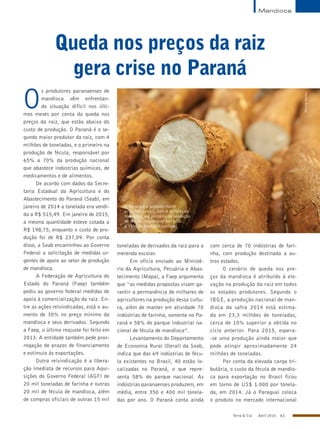Terra & Cia Abril 2015 61
Mandioca
Queda nos preços da raiz
gera crise no Paraná
O
s produtores paranaenses de
mandioca vêm enfrentan-
do situação difícil nos últi-
mos meses por conta da queda nos
preços da raiz, que estão abaixo do
custo de produção. O Paraná é o se-
gundo maior produtor da raiz, com 4
milhões de toneladas, e o primeiro na
produção de fécula, responsável por
65% a 70% da produção nacional
que abastece indústrias químicas, de
medicamentos e de alimentos.
De acordo com dados da Secre-
taria Estadual da Agricultura e do
Abastecimento do Paraná (Seab), em
janeiro de 2014 a tonelada era vendi-
da a R$ 515,49. Em janeiro de 2015,
a mesma quantidade esteve cotada a
R$ 198,75, enquanto o custo de pro-
dução foi de R$ 237,09. Por conta
disso, a Seab encaminhou ao Governo
Federal a solicitação de medidas ur-
gentes de apoio ao setor de produção
de mandioca.
A Federação de Agricultura do
Estado do Paraná (Faep) também
pediu ao governo federal medidas de
apoio à comercialização da raiz. En-
tre as ações reivindicadas, está o au-
mento de 30% no preço mínimo da
mandioca e seus derivados. Segundo
a Faep, o último reajuste foi feito em
2013. A entidade também pede pror-
rogação de prazos de financiamento
e estímulo às exportações.
Outra reivindicação é a libera-
ção imediata de recursos para Aqui-
sições do Governo Federal (AGF) de
20 mil toneladas de farinha e outras
20 mil de fécula de mandioca, além
de compras oficiais de outras 15 mil
toneladas de derivados da raiz para a
merenda escolar.
Em ofício enviado ao Ministé-
rio da Agricultura, Pecuária e Abas-
tecimento (Mapa), a Faep argumenta
que “as medidas propostas visam ga-
rantir a permanência de milhares de
agricultores na produção dessa cultu-
ra, além de manter em atividade 70
indústrias de farinha, somente no Pa-
raná e 58% do parque industrial na-
cional de fécula de mandioca”.
Levantamento do Departamento
de Economia Rural (Deral) da Seab,
indica que das 69 indústrias de fécu-
la existentes no Brasil, 40 estão lo-
calizadas no Paraná, o que repre-
senta 58% do parque nacional. As
indústrias paranaenses produzem, em
média, entre 350 e 400 mil tonela-
das por ano. O Paraná conta ainda
com cerca de 70 indústrias de fari-
nha, com produção destinada a ou-
tros estados.
O cenário de queda nos pre-
ços da mandioca é atribuído à ele-
vação na produção da raiz em todos
os estados produtores. Segundo o
IBGE, a produção nacional de man-
dioca da safra 2014 está estima-
da em 23,3 milhões de toneladas,
cerca de 10% superior a obtida no
ciclo anterior. Para 2015, espera-
-se uma produção ainda maior que
pode atingir aproximadamente 24
milhões de toneladas.
Por conta da elevada carga tri-
butária, o custo da fécula de mandio-
ca para exportação no Brasil ficou
em torno de US$ 1.000 por tonela-
da, em 2014. Já o Paraguai coloca
o produto no mercado internacional
O Paraná é o segundo maior
produtor da raiz, com 4 milhões de
toneladas, e o primeiro na produção
de fécula, responsável por 65%
a 70% da produção nacional
MarcosSantos
 