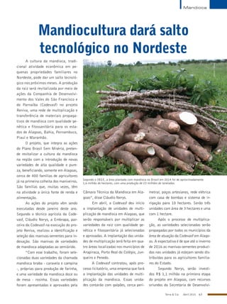 Terra & Cia Abril 2015 63
Ascom/Uesb
Mandiocultura dará salto
tecnológico no Nordeste
A cultura da mandioca, tradi-
cional atividade econômica em pe-
quenas propriedades familiares no
Nordeste, pode dar um salto tecnoló-
gico nos próximos meses. A produção
da raiz será revitalizada por meio de
ações da Companhia de Desenvolvi-
mento dos Vales do São Francisco e
do Parnaíba (Codevasf) no projeto
Reniva, uma rede de multiplicação e
transferência de materiais propaga-
tivos de mandioca com qualidade ge-
nética e fitossanitária para os esta-
dos de Alagoas, Bahia, Pernambuco,
Piauí e Maranhão.
O projeto, que integra as ações
do Plano Brasil Sem Miséria, preten-
de revitalizar a cultura da mandioca
na região com a introdução de novas
variedades de alta qualidade e pure-
za, beneficiando, somente em Alagoas,
cerca de 400 famílias de agricultores
já na primeira colheita dos maniveiros.
São famílias que, muitas vezes, têm
na atividade a única fonte de renda e
alimentação.
As ações do projeto vêm sendo
executadas desde janeiro deste ano.
Segundo o técnico agrícola da Code-
vasf, Cláudio Nerys, a Embrapa, par-
ceira da Codevasf na execução do pro-
jeto Reniva, realizou a identificação e
seleção das manivas-sementes para in-
dexação. São manivas de variedades
de mandioca adaptadas ao semiárido.
“Com esse trabalho, foram sele-
cionadas duas variedades da chamada
mandioca braba - caravela e campina
-, próprias para produção de farinha,
e uma variedade da mandioca doce ou
de mesa - rosinha. Essas variedades
foram apresentadas e aprovados pela
Câmara Técnica da Mandioca em Ala-
goas”, disse Cláudio Nerys.
Em abril, a Codevasf deu início
a implantação de unidades de multi-
plicação de mandioca em Alagoas, que
serão responsáveis por multiplicar as
variedades da raiz com qualidade ge-
nética e fitossanitária já selecionadas
e aprovadas. A implantação das unida-
des de multiplicação será feita em qua-
tro áreas localizadas nos municípios de
Arapiraca, Porto Real do Colégio, Jun-
queiro e Penedo.
A Codevasf contratou, após pro-
cesso licitatório, uma empresa que fará
a implantação das unidades de multi-
plicação da mandioca. Essas unida-
des contarão com galpões, cerca peri-
metral, poços artesianos, rede elétrica
com casa de bombas e sistema de ir-
rigação para 10 hectares. Serão três
unidades com área de 3 hectares e uma
com 1 hectare.
Após o processo de multiplica-
ção, as variedades selecionadas serão
propagadas por todos os municípios da
área de atuação da Codevasf em Alago-
as. A expectativa é de que até o inverno
de 2016 as manivas-sementes produzi-
das nas unidades já estejam sendo dis-
tribuídas para os agricultores familia-
res do Estado.
Segundo Nerys, serão investi-
dos R$ 1,1 milhão na primiera etapa
do projeto em Alagoas, com recursos
oriundos da Secretaria de Desenvolvi-
Segundo o IBGE, a área plantada com mandioca no Brasil em 2014 foi de aproximadamente
1,6 milhão de hectares, com uma produção de 23 milhões de toneladas
Mandioca
 