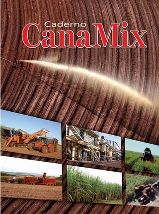 Terra & Cia Abril 2015 73
 