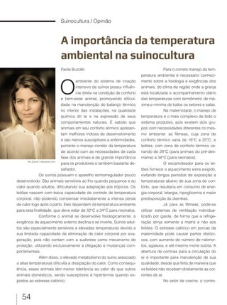 54
Suinocultura / Opinião
A importância da temperatura
ambiental na suinocultura
Paola Buzollo
O
ambiente do sistema de criação
intensivo de suínos possui influên-
cia direta na condição de conforto
e bem-estar animal, promovendo dificul-
dade na manutenção do balanço térmico
no interior das instalações, na qualidade
química do ar e na expressão de seus
comportamentos naturais. É sabido que
animais em seu conforto térmico apresen-
tam melhores índices de desenvolvimento
e são menos susceptíveis a enfermidades,
portanto o manejo correto da temperatura
de acordo com as necessidades de cada
fase dos animais é de grande importância
para os produtores e também bastante de-
safiador.
Ale Carolo / alecarolo.com
Os suínos possuem o aparelho termorregulador pouco
desenvolvido. São animais sensíveis ao frio quando pequenos e ao
calor quando adultos, dificultando sua adaptação aos trópicos. Os
leitões nascem com baixa capacidade de controle de temperatura
corporal, não podendo compensar imediatamente a intensa perda
de calor logo após o parto. Eles dependem da temperatura ambiente
para esta finalidade, que deve estar de 32°C a 34°C para neonatos.
Conforme o animal se desenvolve fisiologicamente, a
exigência de aquecimento externo declina e se inverte. Suínos adul-
tos são especialmente sensíveis a elevadas temperaturas devido a
sua limitada capacidade de eliminação de calor corporal por eva-
poração, pois não contam com a sudorese como mecanismo de
proteção, utilizando exclusivamente a ofegação e mudanças com-
portamentais.
Além disso, o elevado metabolismo do suíno associado
a altas temperaturas dificulta a dissipação do calor. Como consequ-
ência, esses animais têm menor tolerância ao calor do que outros
animais domésticos, sendo susceptíveis à hipertermia quando ex-
postos ao estresse calórico.
Para o correto manejo da tem-
peratura ambiental é necessário conheci-
mento sobre a fisiologia e exigências dos
animais, do clima da região onde a granja
está localizada e acompanhamento diário
das temperaturas com termômetro de má-
xima e mínima de todos os setores e salas.
Na maternidade, o manejo de
temperatura é o mais complexo de todo o
sistema produtivo, pois existem dois gru-
pos com necessidades diferentes no mes-
mo ambiente: as fêmeas, cuja zona de
conforto térmico varia de 16°C a 25°C, e
leitões, com zona de conforto térmico va-
riando de 28°C (para animais do pré-des-
mame) a 34°C (para neonatos).
O escamoteador para os lei-
tões fornece o aquecimento extra exigido,
evitando longos períodos de exposição a
temperaturas abaixo de sua zona de con-
forto, que resultaria em consumo de ener-
gia corporal, letargia, hipoglicemia e maior
predisposição às diarréias.
Já para as fêmeas, pode-se
utilizar sistemas de ventilação individua-
lizado por gaiola, de forma que a refrige-
ração atinja somente a matriz e não aos
leitões. O estresse calórico em porcas da
maternidade pode causar partos distóci-
cos, com aumento do número de natimor-
tos, agalaxia, e até mesmo morte súbita. A
abertura de cortinas para a circulação do
ar é importante para manutenção de sua
qualidade, desde que feita de maneira que
os leitões não recebam diretamente as cor-
rentes de ar.
No setor de creche, o contro-
 