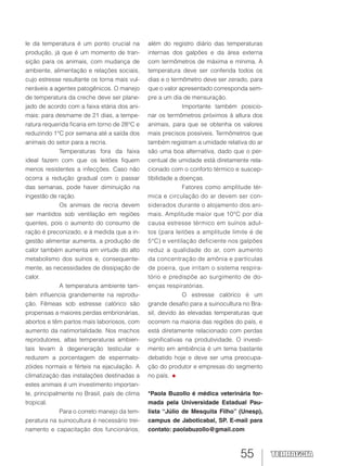 55
le da temperatura é um ponto crucial na
produção, já que é um momento de tran-
sição para os animais, com mudança de
ambiente, alimentação e relações sociais,
cujo estresse resultante os torna mais vul-
neráveis a agentes patogênicos. O manejo
de temperatura da creche deve ser plane-
jado de acordo com a faixa etária dos ani-
mais: para desmame de 21 dias, a tempe-
ratura requerida ficaria em torno de 28°C e
reduzindo 1°C por semana até a saída dos
animais do setor para a recria.
Temperaturas fora da faixa
ideal fazem com que os leitões fiquem
menos resistentes a infecções. Caso não
ocorra a redução gradual com o passar
das semanas, pode haver diminuição na
ingestão de ração.
Os animais de recria devem
ser mantidos sob ventilação em regiões
quentes, pois o aumento do consumo de
ração é preconizado, e à medida que a in-
gestão alimentar aumenta, a produção de
calor também aumenta em virtude do alto
metabolismo dos suínos e, consequente-
mente, as necessidades de dissipação de
calor.
A temperatura ambiente tam-
bém influencia grandemente na reprodu-
ção. Fêmeas sob estresse calórico são
propensas a maiores perdas embrionárias,
abortos e têm partos mais laboriosos, com
aumento da natimortalidade. Nos machos
reprodutores, altas temperaturas ambien-
tais levam à degeneração testicular e
reduzem a porcentagem de espermato-
zóides normais e férteis na ejaculação. A
climatização das instalações destinadas a
estes animais é um investimento importan-
te, principalmente no Brasil, país de clima
tropical.
Para o correto manejo da tem-
peratura na suinocultura é necessário trei-
namento e capacitação dos funcionários,
além do registro diário das temperaturas
internas dos galpões e da área externa
com termômetros de máxima e mínima. A
temperatura deve ser conferida todos os
dias e o termômetro deve ser zerado, para
que o valor apresentado corresponda sem-
pre a um dia de mensuração.
Importante também posicio-
nar os termômetros próximos à altura dos
animais, para que se obtenha os valores
mais precisos possíveis. Termômetros que
também registram a umidade relativa do ar
são uma boa alternativa, dado que o per-
centual de umidade está diretamente rela-
cionado com o conforto térmico e suscep-
tibilidade a doenças.
Fatores como amplitude tér-
mica e circulação do ar devem ser con-
siderados durante o alojamento dos ani-
mais. Amplitude maior que 10°C por dia
causa estresse térmico em suínos adul-
tos (para leitões a amplitude limite é de
5°C) e ventilação deficiente nos galpões
reduz a qualidade do ar, com aumento
da concentração de amônia e partículas
de poeira, que irritam o sistema respira-
tório e predispõe ao surgimento de do-
enças respiratórias.
O estresse calórico é um
grande desafio para a suinocultura no Bra-
sil, devido às elevadas temperaturas que
ocorrem na maioria das regiões do país, e
está diretamente relacionado com perdas
significativas na produtividade. O investi-
mento em ambiência é um tema bastante
debatido hoje e deve ser uma preocupa-
ção do produtor e empresas do segmento
no país.
*Paola Buzollo é médica veterinária for-
mada pela Universidade Estadual Pau-
lista “Júlio de Mesquita Filho” (Unesp),
campus de Jaboticabal, SP. E-mail para
contato: paolabuzollo@gmail.com
 