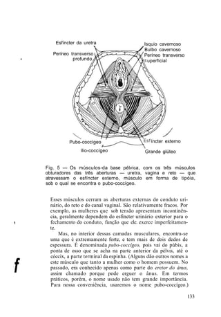'
1
f
Esfíncter da uretra
Períneo transverso
profundo
Isquio cavernoso
Bulbo cavernoso
Períneo transverso
uperficial
Pubo-coccígeo
ílio-coccígeo
íncter externo
Grande glúteo
Fig. 5 — Os músculos-da base pélvica, com os três músculos
obturadores das três aberturas — uretra, vagina e reto — que
atravessam o esfíncter externo, músculo em forma de tipóia,
sob o qual se encontra o pubo-coccígeo.
Esses músculos cerram as aberturas externas do conduto uri-
nário, do reto e do canal vaginal. São relativamente fracos. Por
exemplo, as mulheres que sob tensão apresentam incontinên-
cia, geralmente dependem do esfíncter urinário exterior para o
fechamento do conduto, função que ele. exerce imperfeitamen-
te.
Mas, no interior dessas camadas musculares, encontra-se
uma que é extremamente forte, e tem mais de dois dedos de
espessura. É denominada pubo-coccígeo, pois vai do púbis, a
ponta de osso que se acha na parte anterior da pélvis, até o
cóccix, a parte terminal da espinha. (Alguns dão outros nomes a
este músculo que tanto a mulher como o homem possuem. No
passado, era conhecido apenas como parte do eretor do ânus,
assim chamado porque pode erguer o ânus. Em termos
práticos, porém, o nome usado não tem grande importância.
Para nossa conveniência, usaremos o nome pubo-coccígeo.)
133
 