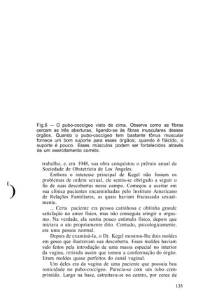 (
Fig.6 — O pubo-coccígeo visto de cima. Observe como as fibras
cercam as três aberturas, ligando-se às fibras musculares desses
órgãos. Quando o pubo-coccígeo tem bastante tônus muscular
fornece um bom suporte para esses órgãos; quando é flácido, o
suporte é pouco. Esses músculos podem ser fortalecidos através
de um exercitamento correto.
trabalho, e, em 1948, sua obra conquistou o prêmio anual da
Sociedade de Obstetrícia de Los Angeles.
Embora o interesse principal de Kegel não fossem os
problemas de ordem sexual, ele sentiu-se obrigado a seguir o
)
fio de suas descobertas nesse campo. Começou a aceitar em
sua clínica pacientes encaminhadas pelo Instituto Americano
de Relações Familiares, as quais haviam fracassado sexual-
mente.
... Certa paciente era pessoa carinhosa e obtinha grande
satisfação no amor físico, mas não conseguia atingir o orgas-
mo. Na verdade, ela sentia pouco estímulo físico, depois que
iniciava o ato propriamente dito. Contudo, psicologicamente,
era uma pessoa normal.
Depois de examiná-la, o Dr. Kegel mostrou-lhe dois moldes
em gesso que ilustravam sua descoberta. Esses moldes haviam
sido feitos pela introdução de uma massa especial no interior
da vagina, retirada assim que tomou a conformação do órgão.
Eram moldes quase perfeitos do canal vaginal.
Um deles era da vagina de uma paciente que possuía boa
tonicidade no pubo-coccígeo. Parecia-se com um tubo com-
primido. Largo na base, estreitava-se no centro, por cerca de
135
 