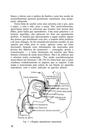 franca e aberta com o médico da família e uma boa sessão de
aconselhamento pastoral geralmente constituem uma prepa-
ração adequada.
Outra fonte de auxílio seria uma conversa com o pai, para
o rapaz, e com a mãe, para a moça. Nós, particularmente,
apreciamos muito as conversas que tivemos com nossos dois
filhos, pelas lições que aprendemos. Com essas palestras e as
leituras sugeridas, eles parecem ter feito um ajustamento
perfeito. A matéria que apresentamos a seguir contém alguns
dos pontos que abordamos com eles, a respeito deles próprios
e de seus cônjuges. Se for estudada por pessoas casadas ou por
aquelas que estão para se casar, aparece como um tema
fascinante. Quando estas informações são analisadas pelo
prisma dos objetivos do casamento — concepção, prazer e
comunicação — o leitor fatalmente irá concluir que Deus
formou o homem de modo maravilhoso. Não é de admirar que
o salmista tenha exclamado: "Por modo assombrosamente
maravilhoso me formaste." (SI 139.14.) Seria bom que o leitor
estudasse cuidadosamente as páginas que se seguem. Cada
órgão é mencionado pela ordem de sua função no aparelho
reprodutor, com o nome indicado na gravura abaixo:
Fig. 1 —Órgãos reprodutivos masculinos
52
 