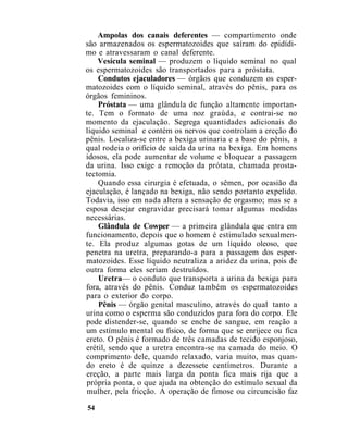 Ampolas dos canais deferentes — compartimento onde
são armazenados os espermatozoides que saíram do epidídi-
mo e atravessaram o canal deferente.
Vesícula seminal — produzem o líquido seminal no qual
os espermatozoides são transportados para a próstata.
Condutos ejaculadores — órgãos que conduzem os esper-
matozoides com o líquido seminal, através do pênis, para os
órgãos femininos.
Próstata — uma glândula de função altamente importan-
te. Tem o formato de uma noz graúda, e contrai-se no
momento da ejaculação. Segrega quantidades adicionais do
líquido seminal e contém os nervos que controlam a ereção do
pênis. Localiza-se entre a bexiga urinaria e a base do pênis, a
qual rodeia o orifício de saída da urina na bexiga. Em homens
idosos, ela pode aumentar de volume e bloquear a passagem
da urina. Isso exige a remoção da prótata, chamada prosta-
tectomia.
Quando essa cirurgia é efetuada, o sêmen, por ocasião da
ejaculação, é lançado na bexiga, não sendo portanto expelido.
Todavia, isso em nada altera a sensação de orgasmo; mas se a
esposa desejar engravidar precisará tomar algumas medidas
necessárias.
Glândula de Cowper — a primeira glândula que entra em
funcionamento, depois que o homem é estimulado sexualmen-
te. Ela produz algumas gotas de um líquido oleoso, que
penetra na uretra, preparando-a para a passagem dos esper-
matozoides. Esse líquido neutraliza a aridez da urina, pois de
outra forma eles seriam destruídos.
Uretra— o conduto que transporta a urina da bexiga para
fora, através do pênis. Conduz também os espermatozoides
para o exterior do corpo.
Pênis — órgão genital masculino, através do qual tanto a
urina como o esperma são conduzidos para fora do corpo. Ele
pode distender-se, quando se enche de sangue, em reação a
um estímulo mental ou físico, de forma que se enrijece ou fica
ereto. O pênis é formado de três camadas de tecido esponjoso,
erétil, sendo que a uretra encontra-se na camada do meio. O
comprimento dele, quando relaxado, varia muito, mas quan-
do ereto é de quinze a dezessete centímetros. Durante a
ereção, a parte mais larga da ponta fica mais rija que a
própria ponta, o que ajuda na obtenção do estímulo sexual da
mulher, pela fricção. A operação de fimose ou circuncisão faz
54
 