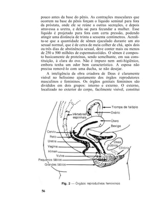 pouco antes da base do pênis. As contrações musculares que
ocorrem na base do pênis forçam o líquido seminal para fora
da próstata, onde ele se reúne a outras secreções, e depois
atravessa a uretra, e dela sai para fecundar a mulher. Esse
líquido é projetado para fora com certa pressão, podendo
atingir uma distância de trinta a sessenta centímetros. Acredi-
ta-se que a quantidade de sêmen ejaculado durante um ato
sexual normal, que é de cerca de meia colher de chá, após dois
ou três dias de abstinência sexual, deve conter mais ou menos
de 250 a 500 milhões de espermatozóides. O sêmen é compos-
to basicamente de proteínas, sendo semelhante, em sua cons-
tituição, à clara do ovo. Não é impuro nem anti-higiênico,
embora tenha um odor bem característico. A esposa não
precisa removê-lo com uma ducha, se não desejar.
A inteligência da obra criadora de Deus é claramente
visível no belíssimo ajustamento dos órgãos reprodutores
masculinos e femininos. Os órgãos genitais femininos são
divididos em dois grupos: interno e externo. O externo,
localizado no exterior do corpo, facilmente visível, constitui
56
 