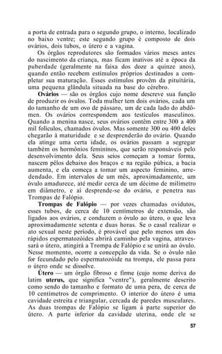 a porta de entrada para o segundo grupo, o interno, localizado
no baixo ventre; este segundo grupo é composto de dois
ovários, dois tubos, o útero e a vagina.
Os órgãos reprodutores são formados vários meses antes
do nascimento da criança, mas ficam inativos até a época da
puberdade (geralmente na faixa dos doze a quinze anos),
quando então recebem estímulos próprios destinados a com-
pletar sua maturação. Esses estímulos provêm da pituitária,
uma pequena glândula situada na base do cérebro.
Ovários — são os órgãos cujo nome descreve sua função
de produzir os óvulos. Toda mulher tem dois ovários, cada um
do tamanho de um ovo de pássaro, um de cada lado do abdô-
men. Os ovários correspondem aos testículos masculinos.
Quando a menina nasce, seus ovários contêm entre 300 a 400
mil folículos, chamados óvulos. Mas somente 300 ou 400 deles
chegarão à maturidade e se desprenderão do ovário. Quando
ela atinge uma certa idade, os ovários passam a segregar
também os hormônios femininos, que serão responsáveis pelo
desenvolvimento dela. Seus seios começam a tomar forma,
nascem pêlos debaixo dos braços e na região púbica, a bacia
aumenta, e ela começa a tomar um aspecto feminino, arre-
dendado. Em intervalos de um mês, aproximadamente, um
óvulo amadurece, até medir cerca de um décimo de milímetro
em diâmetro, e aí desprende-se do ovário, e penetra nas
Trompas de Falópio.
Trompas de Falópio — por vezes chamadas ovidutos,
esses tubos, de cerca de 10 centímetros de extensão, são
ligados aos ovários, e conduzem o óvulo ao útero, o que leva
aproximadamente setenta e duas horas. Se o casal realizar o
ato sexual neste período, é provável que pelo menos um dos
rápidos espermatozóides abrirá caminho pela vagina, atraves-
sará o útero, atingirá a Trompa de Falópio e se unirá ao óvulo.
Nesse momento, ocorre a concepção da vida. Se o óvulo não
for fecundado pelo espermatozóide na trompa, ele passa para
o útero onde se dissolve.
Útero — um órgão fibroso e firme (cujo nome deriva do
latim uterus, que significa "ventre"), geralmente descrito
como sendo do tamanho e formato de uma pera, de cerca de
10 centímetros de comprimento. O interior do útero é uma
cavidade estreita e triangular, cercada de paredes musculares.
As duas trompas de Falópio se ligam à parte superior do
útero. A parte inferior da cavidade uterina, onde ele se
57
 